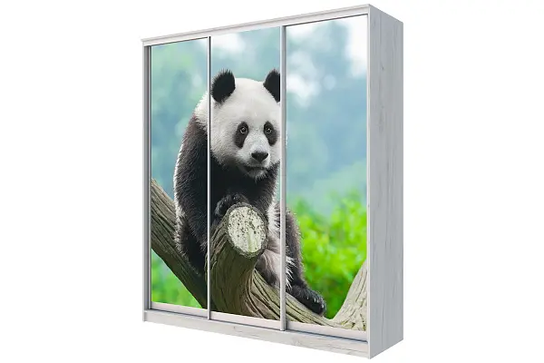 картинка Шкаф-купе 3-х дверный с фотопечатью Панда от магазина КУПИ КУПЕ
